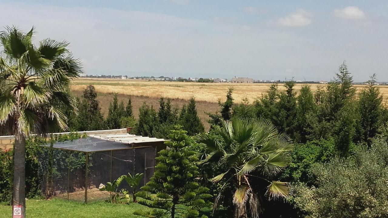 Riad Tanjil Nouaceur Exterior foto